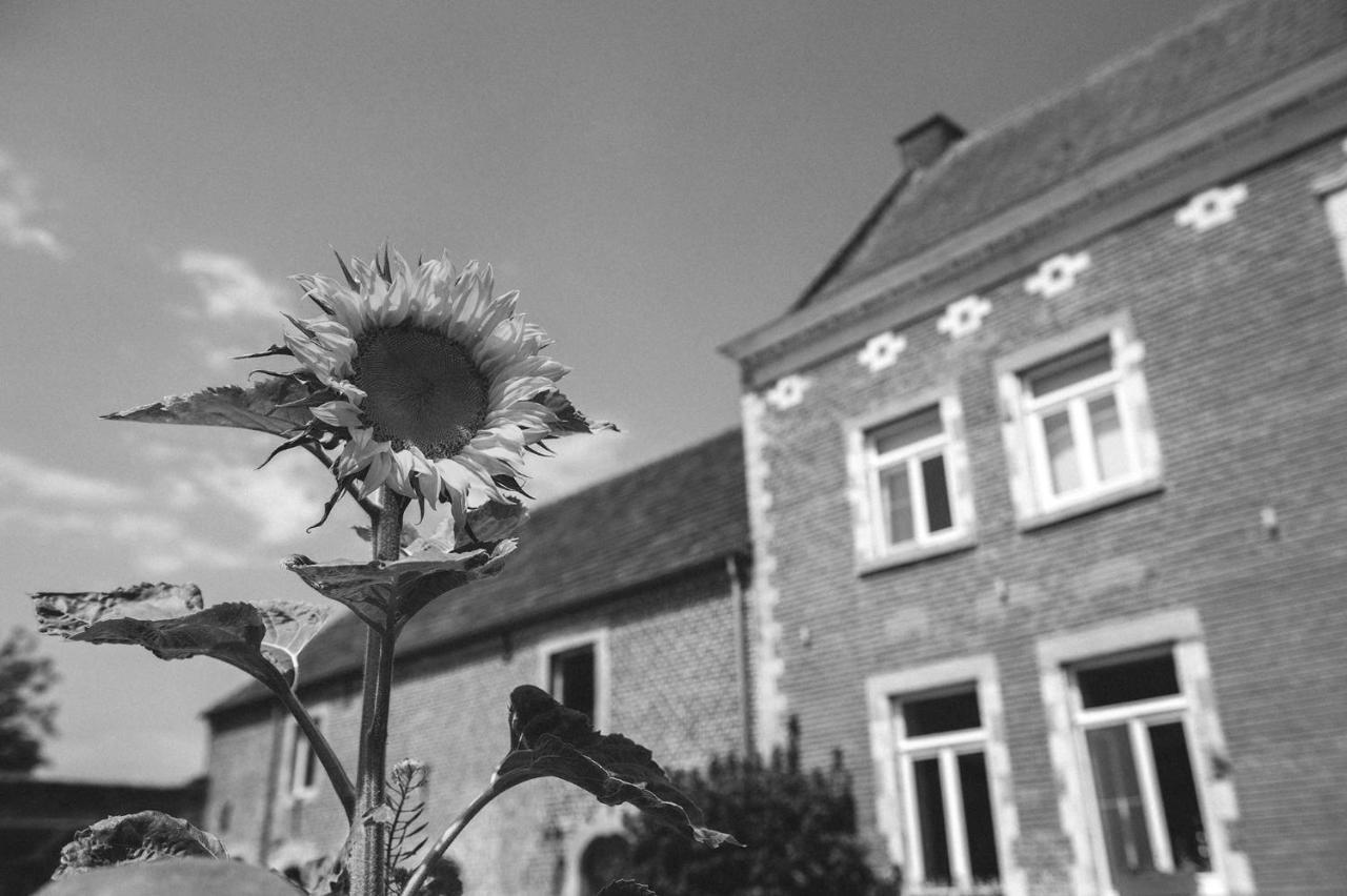 B&B L'Epicurie Hoegaarden Buitenkant foto